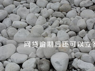 网贷逾期后还可以立案吗 网贷逾期后还可以立案吗