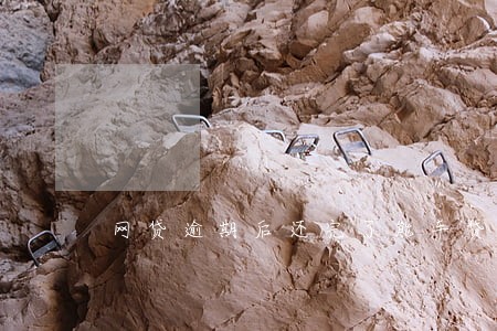网贷逾期后还完了能车贷吗 网贷逾期后还完了能车贷吗