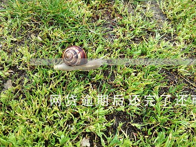 网贷逾期后还完了还可以贷款吗 网贷逾期后还完了还可以贷款吗