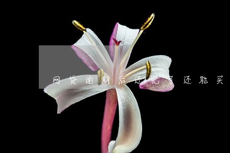网贷逾期后还完了还能买楼吗 网贷逾期后还完了还能买楼吗
