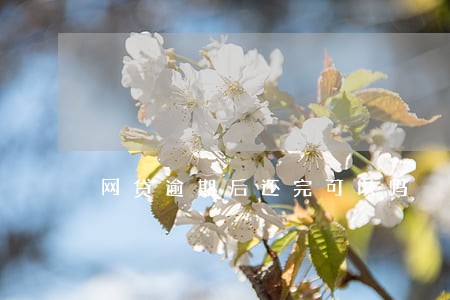 网贷逾期后还完可以吗