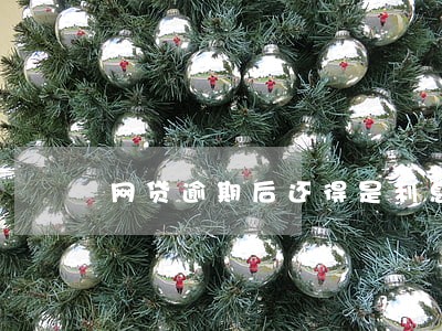 网贷逾期后还得是利息还是本金 网贷逾期后还得是利息还是本金