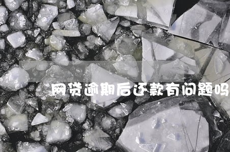 网贷逾期后还款有问题吗 网贷逾期后还款有问题吗