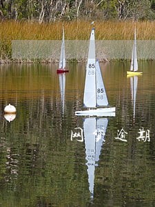网贷逾期后还款未优先抵扣本金 网贷逾期后还款未优先抵扣本金