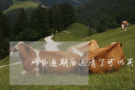 网贷逾期后还清了可以买房吗 网贷逾期后还清了可以买房吗