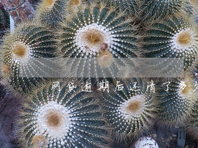 网贷逾期后还清了多久能买房 网贷逾期后还清了多久能买房