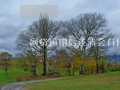 网贷逾期后还清会有什么影响 网贷逾期后还清会有什么影响
