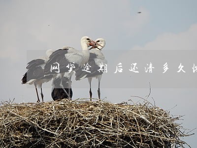 网贷逾期后还清多久恢复信用 网贷逾期后还清多久恢复信用