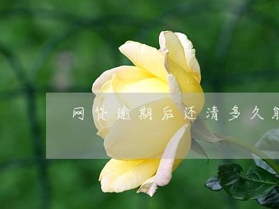 网贷逾期后还清多久能消除 网贷逾期后还清多久能消除