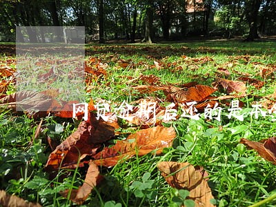 网贷逾期后还的是本金还是利息 网贷逾期后还的是本金还是利息