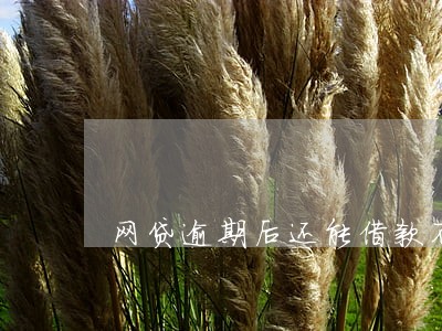 网贷逾期后还能借款不 网贷逾期后还能借款不