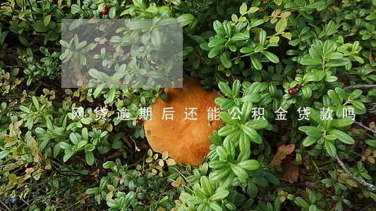网贷逾期后还能公积金贷款吗 网贷逾期后还能公积金贷款吗