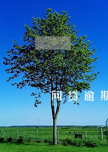 网贷逾期后还能贷房贷 网贷逾期后还能贷房贷