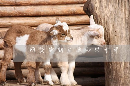 网贷逾期后通知村干部 网贷逾期后通知村干部