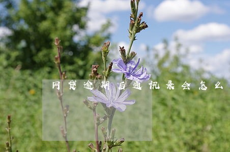 网贷逾期后通讯录会怎么样 网贷逾期后通讯录会怎么样