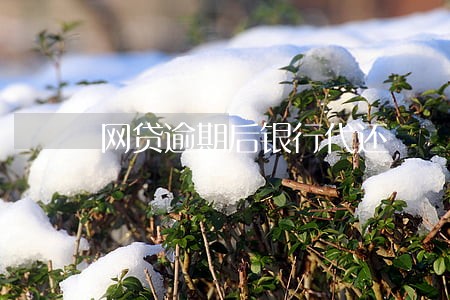 网贷逾期后银行代还 网贷逾期后银行代还