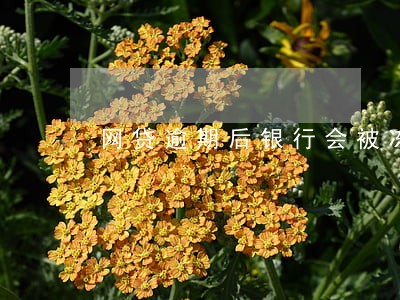 网贷逾期后银行会被冻结吗 网贷逾期后银行会被冻结吗