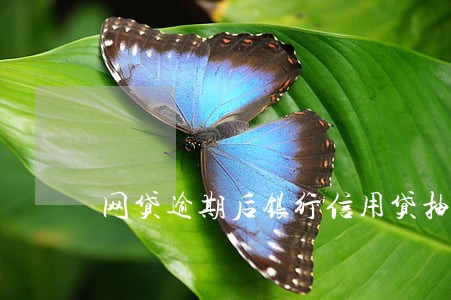网贷逾期后银行信用贷抽贷 网贷逾期后银行信用贷抽贷