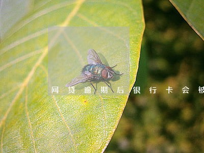 网贷逾期后银行卡会被冻结吗 网贷逾期后银行卡会被冻结吗