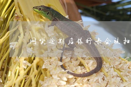 网贷逾期后银行卡会被扣钱吗