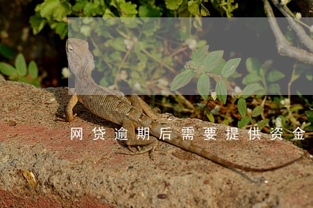 网贷逾期后需要提供资金用途吗 网贷逾期后需要提供资金用途吗