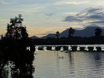 网贷逾期后需要还高额利息吗