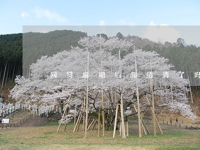 网贷逾期后面结清了吗 网贷逾期后面结清了吗