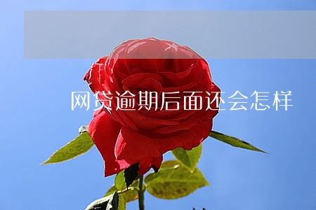 网贷逾期后面还会怎样 网贷逾期后面还会怎样