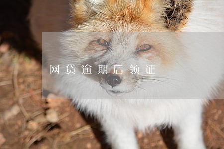网贷逾期后领证 网贷逾期后领证