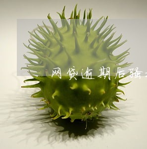 网贷逾期后骚扰通讯录怎么办 网贷逾期后骚扰通讯录怎么办