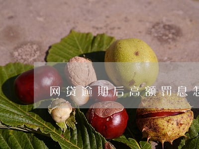 网贷逾期后高额罚息怎么处理 网贷逾期后高额罚息怎么处理