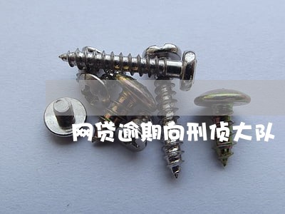 网贷逾期向刑侦大队 网贷逾期向刑侦大队