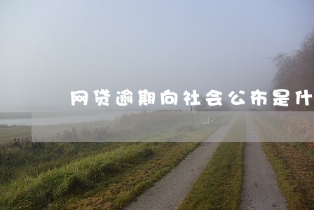 网贷逾期向社会公布是什么意思 网贷逾期向社会公布是什么意思