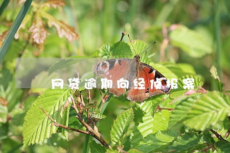 网贷逾期向经侦报案 网贷逾期向经侦报案