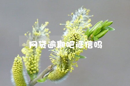 网贷逾期吧征信吗 网贷逾期吧征信吗