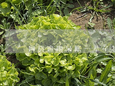 网贷逾期呆账一辈子怎么处理 网贷逾期呆账一辈子怎么处理