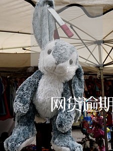 网贷逾期呆账怎么买车 网贷逾期呆账怎么买车