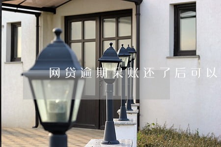 网贷逾期呆账还了后可以消除吗