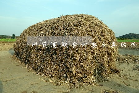 网贷逾期告村委会真的吗 网贷逾期告村委会真的吗