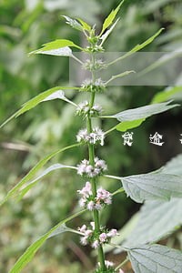 网贷逾期告知函是不是真的 网贷逾期告知函是不是真的