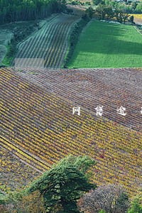 网贷逾期告知居委会 网贷逾期告知居委会