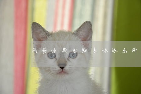 网贷逾期告知当地派出所 网贷逾期告知当地派出所
