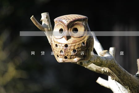 网贷逾期告诉我要开庭 网贷逾期告诉我要开庭