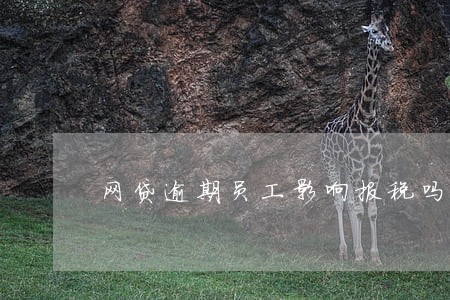 网贷逾期员工影响报税吗 网贷逾期员工影响报税吗