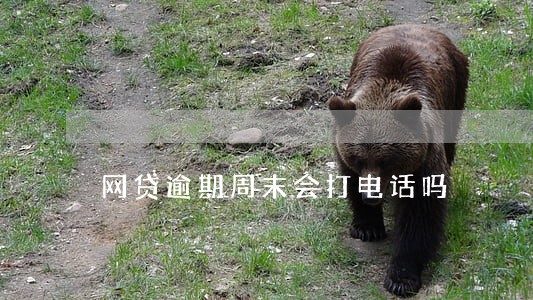 网贷逾期周末会打电话吗 网贷逾期周末会打电话吗