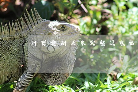 网贷逾期周末突然没电话了 网贷逾期周末突然没电话了