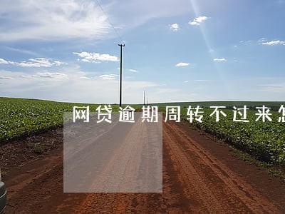 网贷逾期周转不过来怎么办 网贷逾期周转不过来怎么办