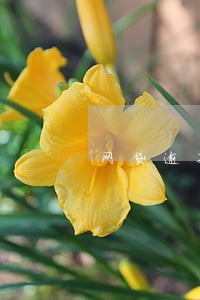 网贷逾期咋借钱 网贷逾期咋借钱