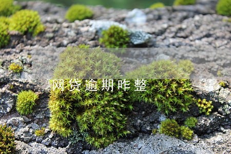 网贷逾期咋整