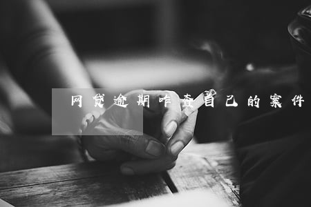 网贷逾期咋查自己的案件 网贷逾期咋查自己的案件